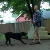 Redeeming Dogs