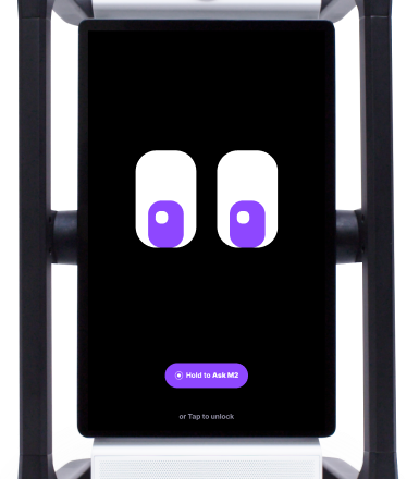 M2 device, an intelligent teaching assistant that supports differentiated instruction.