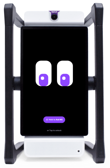 M2 device, an intelligent teaching assistant that supports differentiated instruction.